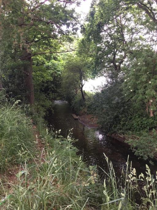 Pinewood #Edwinstowe Villa Kültér fotó
